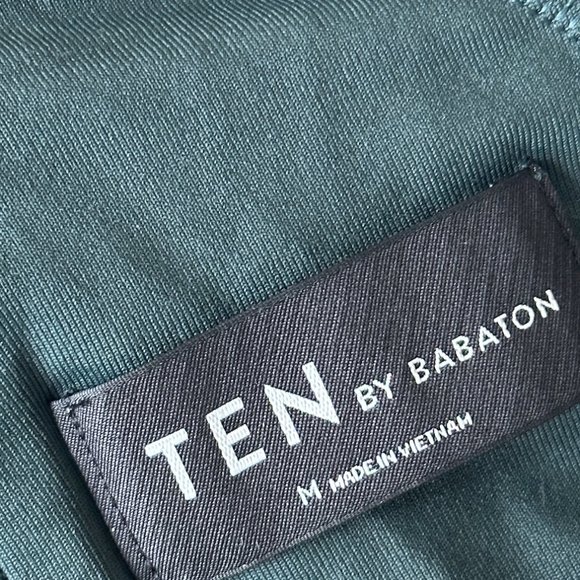 Ten by Babaton Horizon Dress in Scarab - Picture 2 of 5